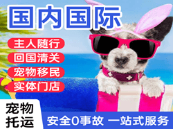 鄂托克旗乌兰航空空运国际宠物托运 【国